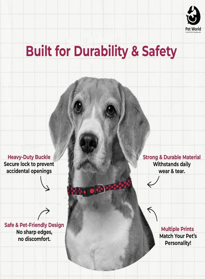 Pet World Adjustable Dog Printed Collar | Suitable for All Dogs and Puppies | with Heavy Duty Durable Buckle | Safe Design and Comfortable for Pets | Large Size | Light in Weight - Image 3